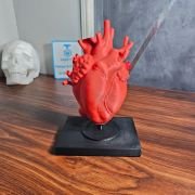 Human Heart